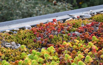 the cost of Wellow green roof installation
