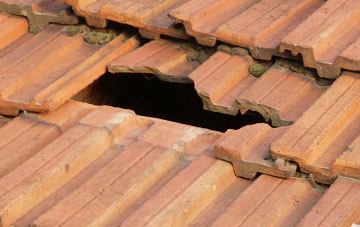 roof repair Wellow