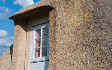 Wellow thatch roof disadvantages